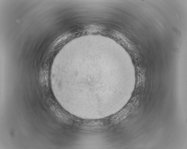 X0000114430824200911271616