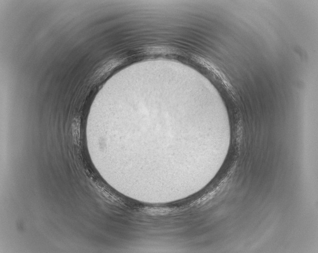 X0000114430825200911271616