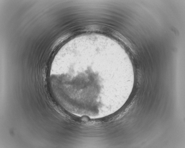 X0000114430826200911271616