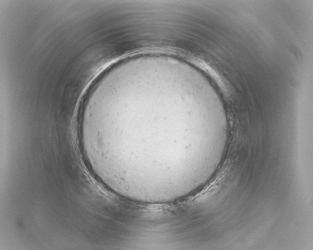 X0000114430828200911271616