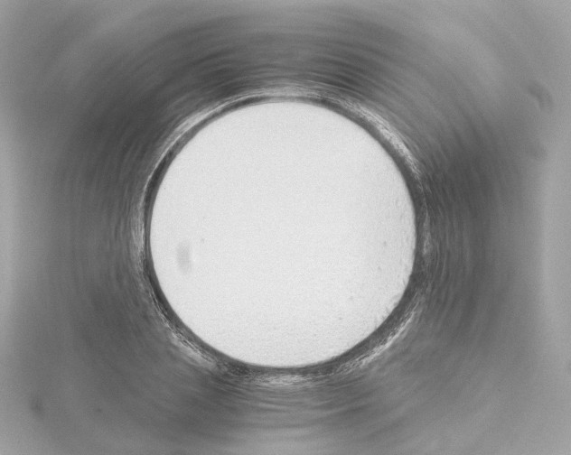 X0000114430837200911271616