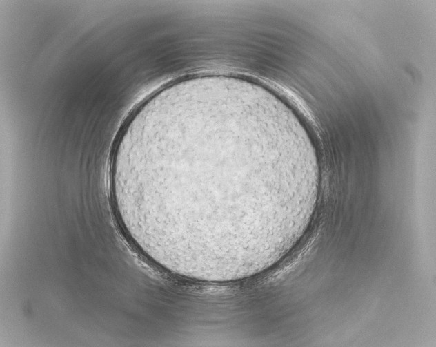 X0000114430839200911271616