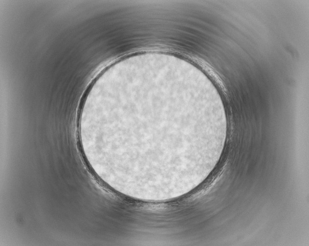 X0000114430845200911271616