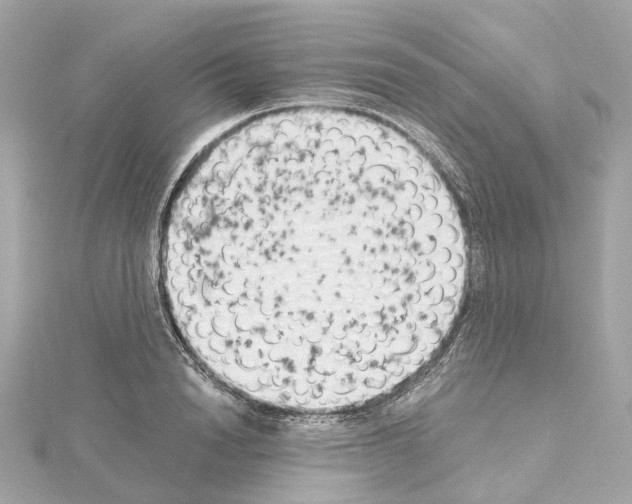 X0000114430846200911271616