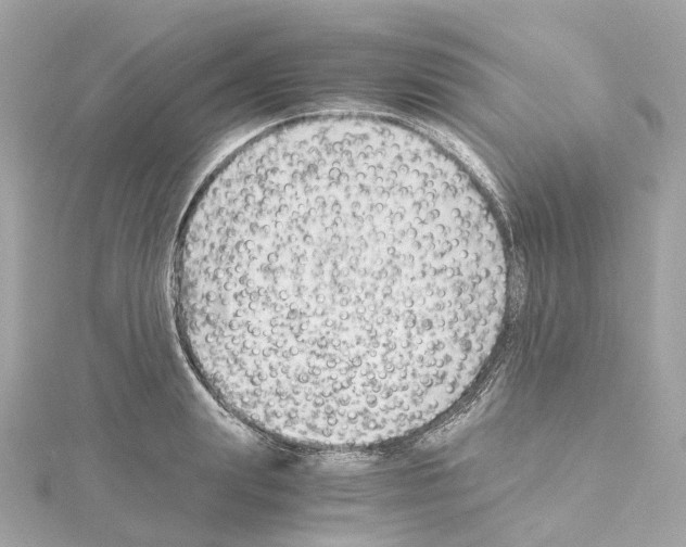 X0000114430847200911271616