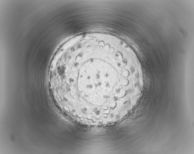 X0000114430848200911271616