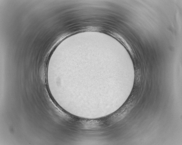 X0000114430851200911271616