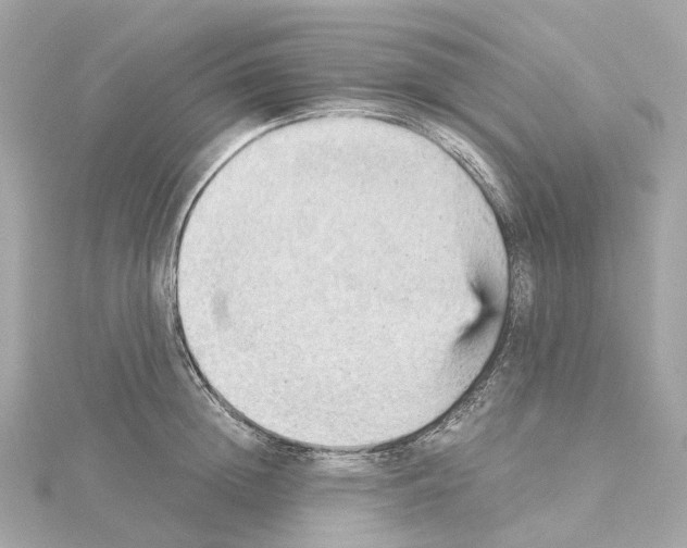 X0000114430852200911271616