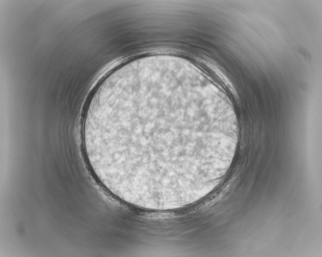 X0000114430853200911271616