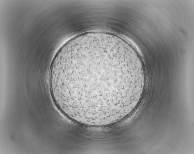 X0000114430855200911271616