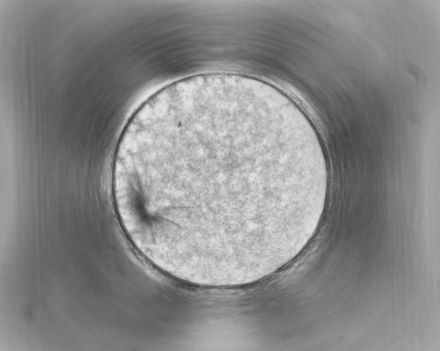 X0000114430862200911271616