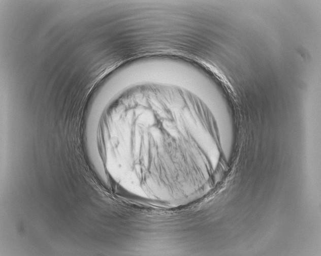 X0000114430873200911271615