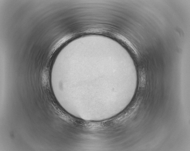 X0000114430874200911271615