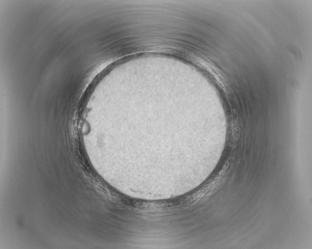 X0000114430875200911271615