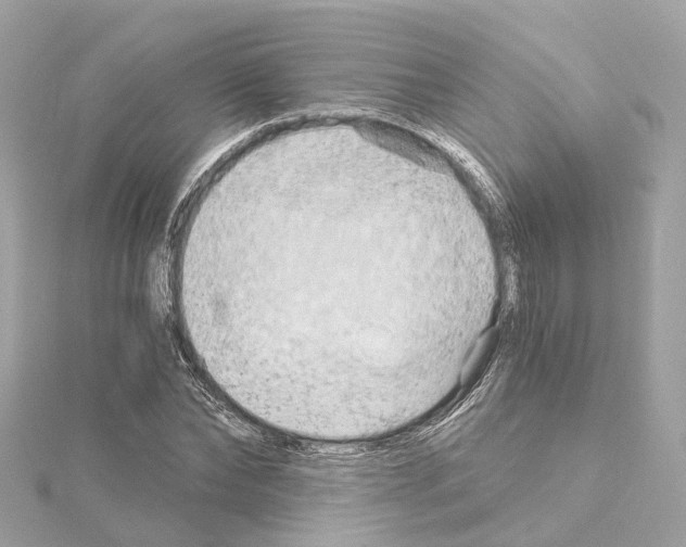 X0000114430878200911271615