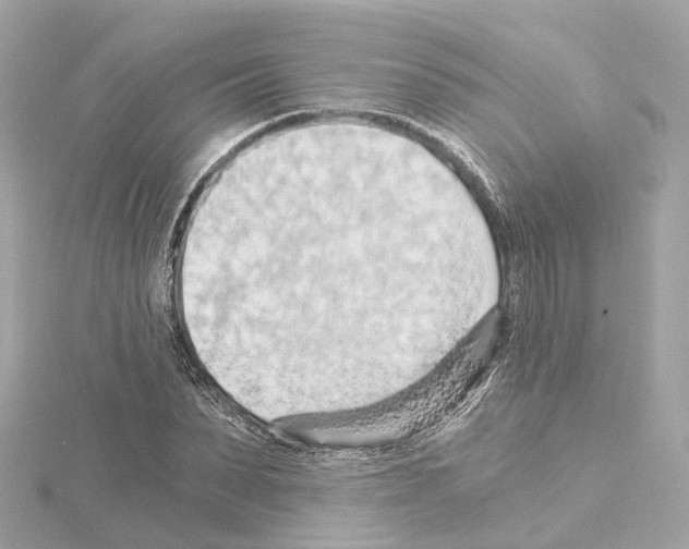 X0000114430879200911271615