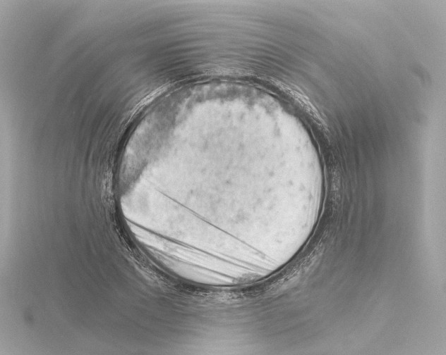 X0000114430881200911271615