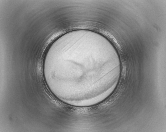 X0000114430882200911271615