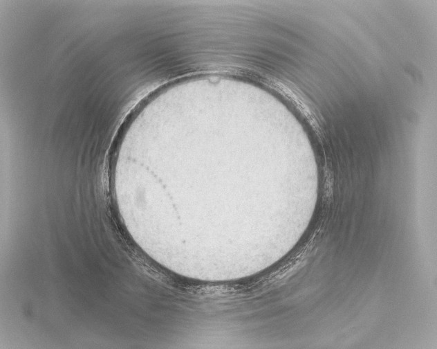 X0000114430883200911271615