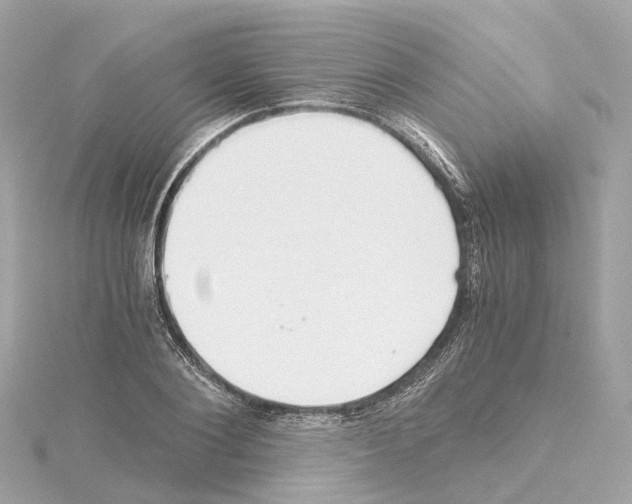 X0000114430884200911271615