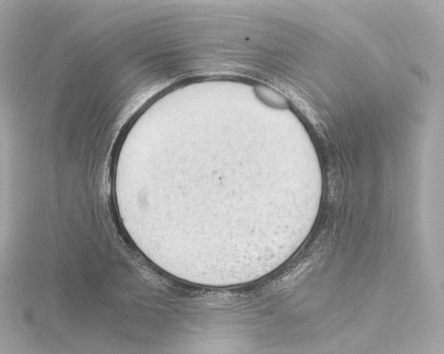 X0000114430885200911271615