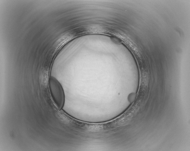 X0000114430889200911271615