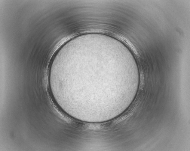 X0000114430890200911271615
