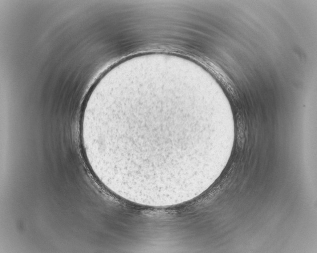 X0000114430896200911271615