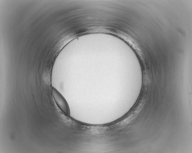 X0000114430905200911271615