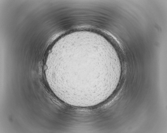 X0000114430921200911271614
