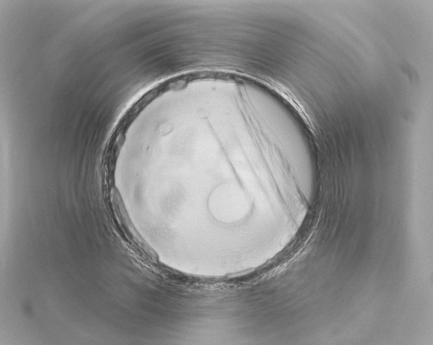 X0000114430926200911271614
