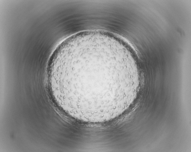 X0000114430927200911271614