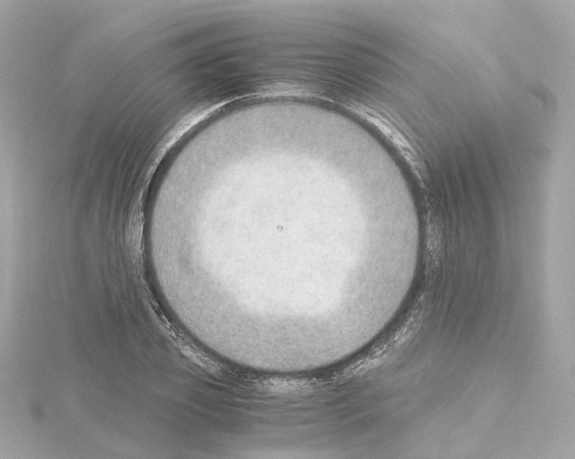 X0000114430933200911271614