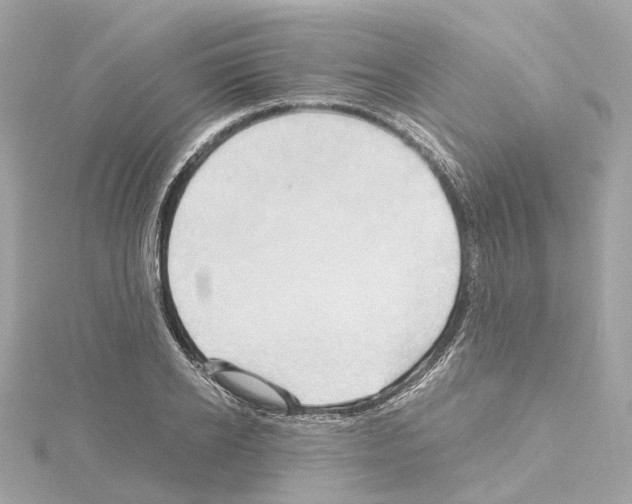 X0000114430934200911271614
