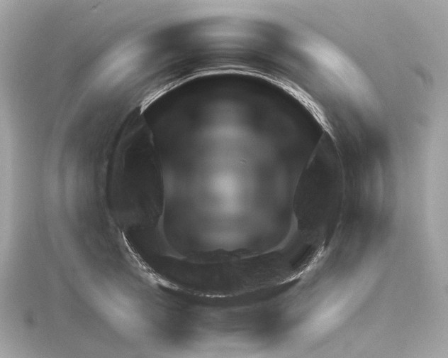 X0000114430945200911271614