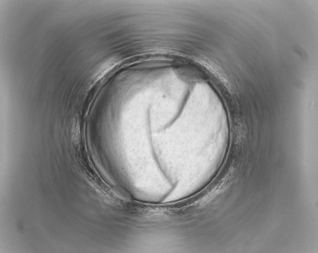 X0000114430969200911271614