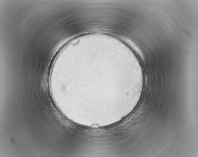 X0000114430972200911271614