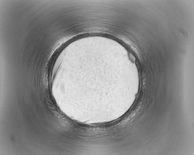 X0000114430973200911271614