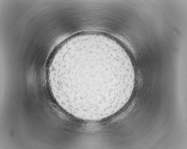 X0000114430974200911271614