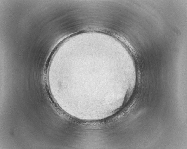X0000114430976200911271614