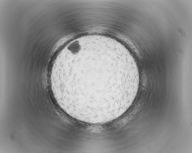 X0000114430978200911271614