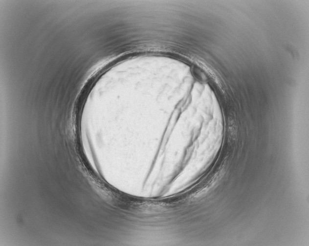 X0000114430981200911271614