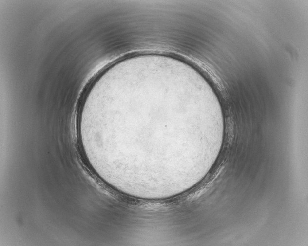 X0000114430982200911271614