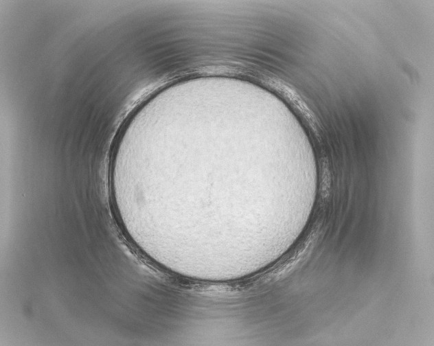 X0000114430986200911271614