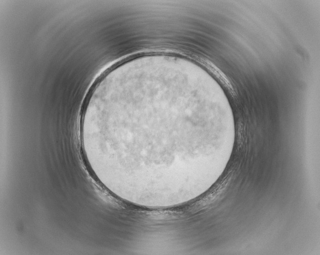 X0000114430988200911271614