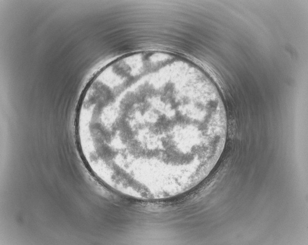 X0000114430995200911271614