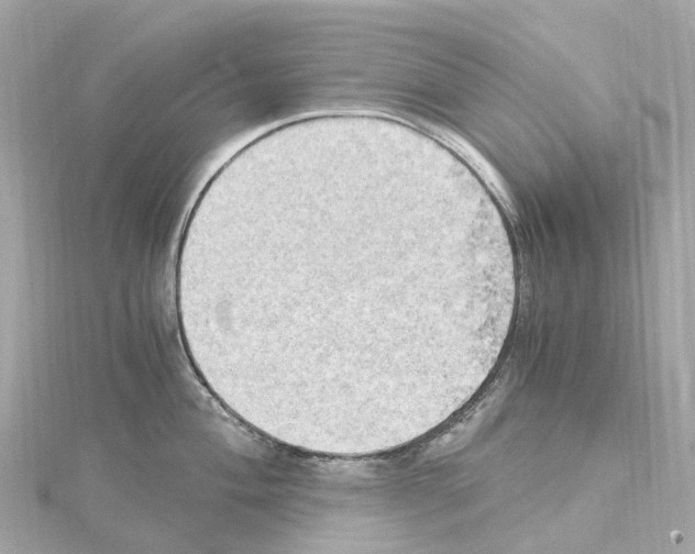 X0000114431004200911271613
