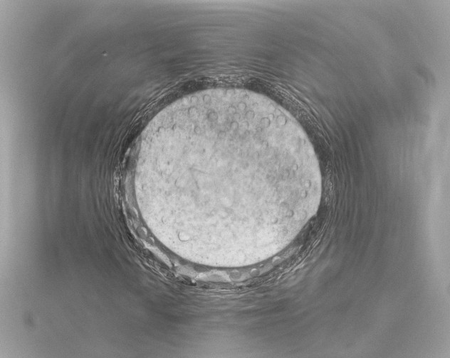 X0000114431010200911271613