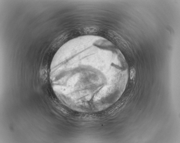 X0000114431011200911271613