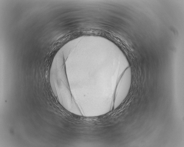 X0000114431013200911271613